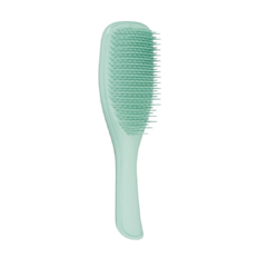 Tangle Teezer Detangling Brush en internet