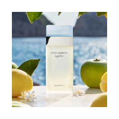 Set Light Blue D&G en internet