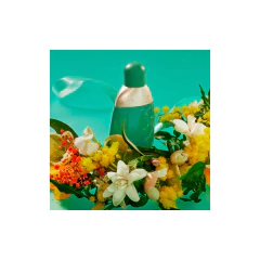 Eden Edp Cacharel en internet