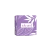 BEAUTY BOX LAVANDA - incluye papel de relleno + sticker cierre