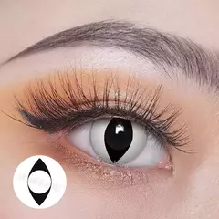 Imagen de LENTES OJO DE GATO