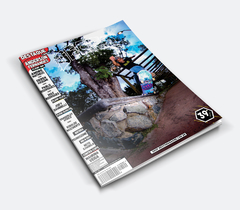 Edição N39 - SKATE - IMPRESSA - comprar online
