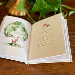 MENSAGENS DIÁRIAS - Sweetcards | Gift & Paper