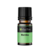 Essência Heart Bambu 10ml p/ difusor elétrico - comprar online