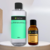 KIT Base para Difusor 400ml + 1 Essência Gold 100ml