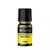Essência Muru Muru Óleo Lipossolúvel 15ml - comprar online
