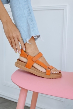 Thelma - comprar online