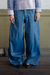 PANTALON BRILLANTE TURQUESA en internet