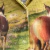 TOP MOÑO CAMPO MAGICO - tienda online