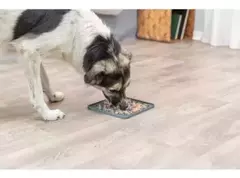 Alfombra para lamer Cuadrado (mediano) - DogTime