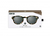 IZIPIZI GAFAS #C SUN JUNIOR - tienda online