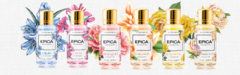 Banner de la categoría VER TODAS
