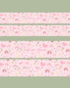 Cinta de Caixa Arco Íris Rosa e Creme (180g) - 4 Unidades