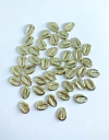 Búzios Dourado - Pacote com 20 unidades