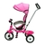 Triciclo 360 Bebitos XG6419 - comprar online