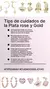 Aros Tijeritas GOLD en internet