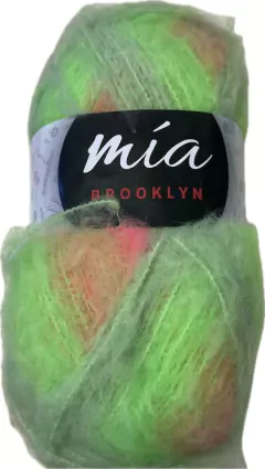 Brooklyn en internet