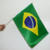 Bandeira do Brasil com Haste 45 x 30 cm na internet