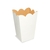 Cachepot Pequeno - 8 unidades- Cores - loja online