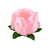 Forminha Princesa Rosa Bebê - 30 unidades