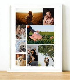 Diseño collage de 8 fotos en internet