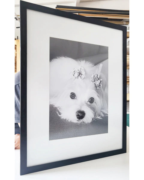 Enmarcado especial con Paspartú blanco