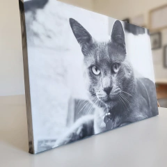 Cuadro en lienzo canvas 30x45 - comprar online