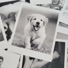 20 impresiones estilo polaroid en internet