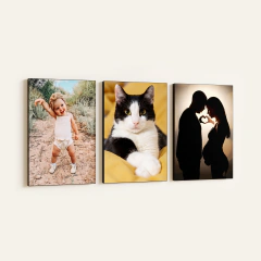 Set de 3 murales 40x50