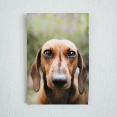 Mural 20x30 - comprar online