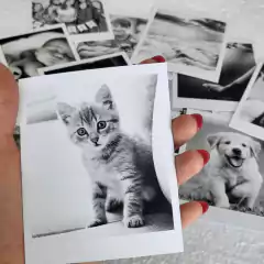 Impresion fotos estilo Polaroid - comprar online