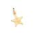 542934 Pingente Rommanel folheado a ouro estrela Sheriff