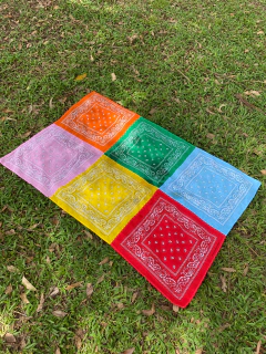 CANGA PAISLEY | RAINBOW