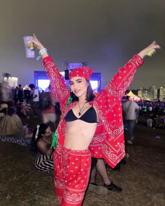 CAMISA ANNA | RED - comprar online