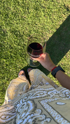 CALÇA PANTALONA SILVANA | VANILLA - loja online