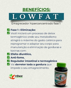 Trio Low FAT - loja online