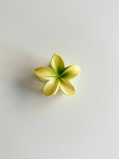 Hair Clip lírio G na internet