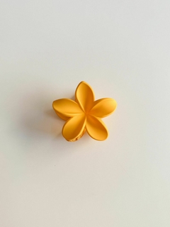 Flower hair G na internet