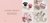 Imagem do banner rotativo Lili Bowtique