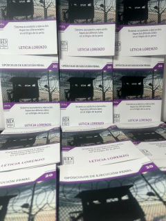 Sistema acusatorio y ejecución. Aspectos diferenciales en el litigio de la ejecución de la pena