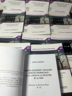 Imagen de Sistema acusatorio y ejecución. Aspectos diferenciales en el litigio de la ejecución de la pena