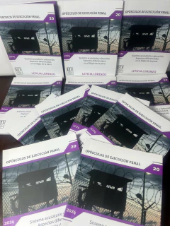 Sistema acusatorio y ejecución. Aspectos diferenciales en el litigio de la ejecución de la pena - tienda online