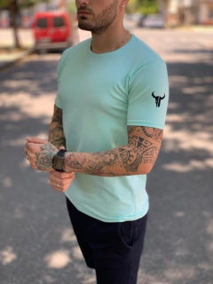 Remera Harvey Aqua en internet