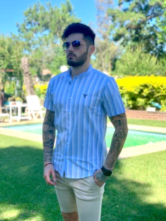 Camisa Gres - comprar online