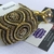 carimbo-strass-oncinha 