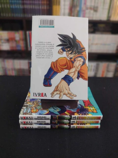 Dragon Ball Super 17 en internet