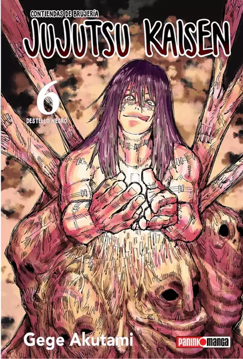 Jujutsu Kaisen Tomo 6