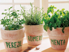 Banner de la categoría Huerta y Aromaticas