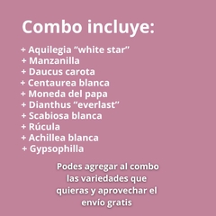 Combo flores blancas: 10 variedades + envío incluido - comprar online