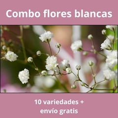 Combo flores blancas: 10 variedades + envío incluido